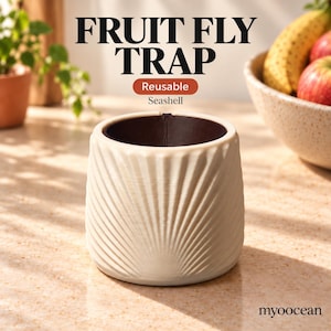Trappola riutilizzabile per moscerini della frutta in cucina, acchiappa-mosche decorativo da appoggio.