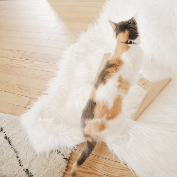 mid century modern cat scratcher