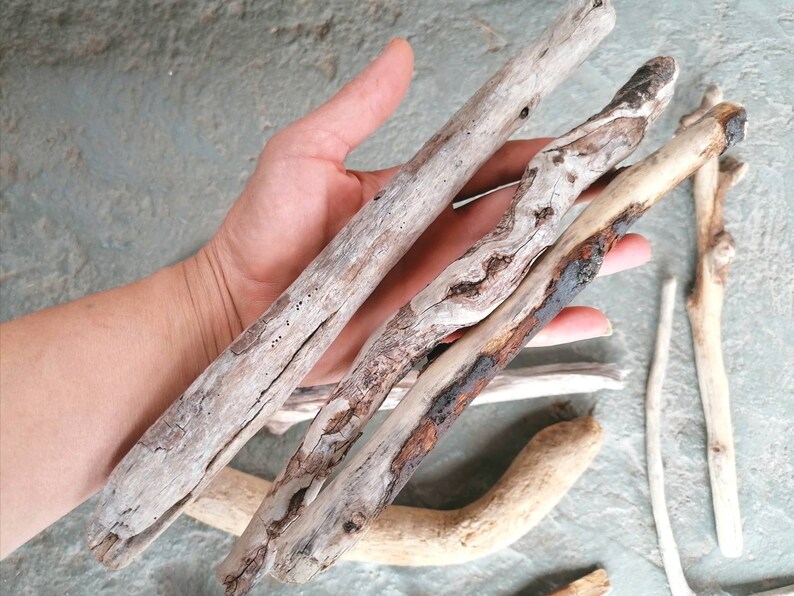 10 driftwood branches for crafts 2230 cm Bulk driftwood Etsy