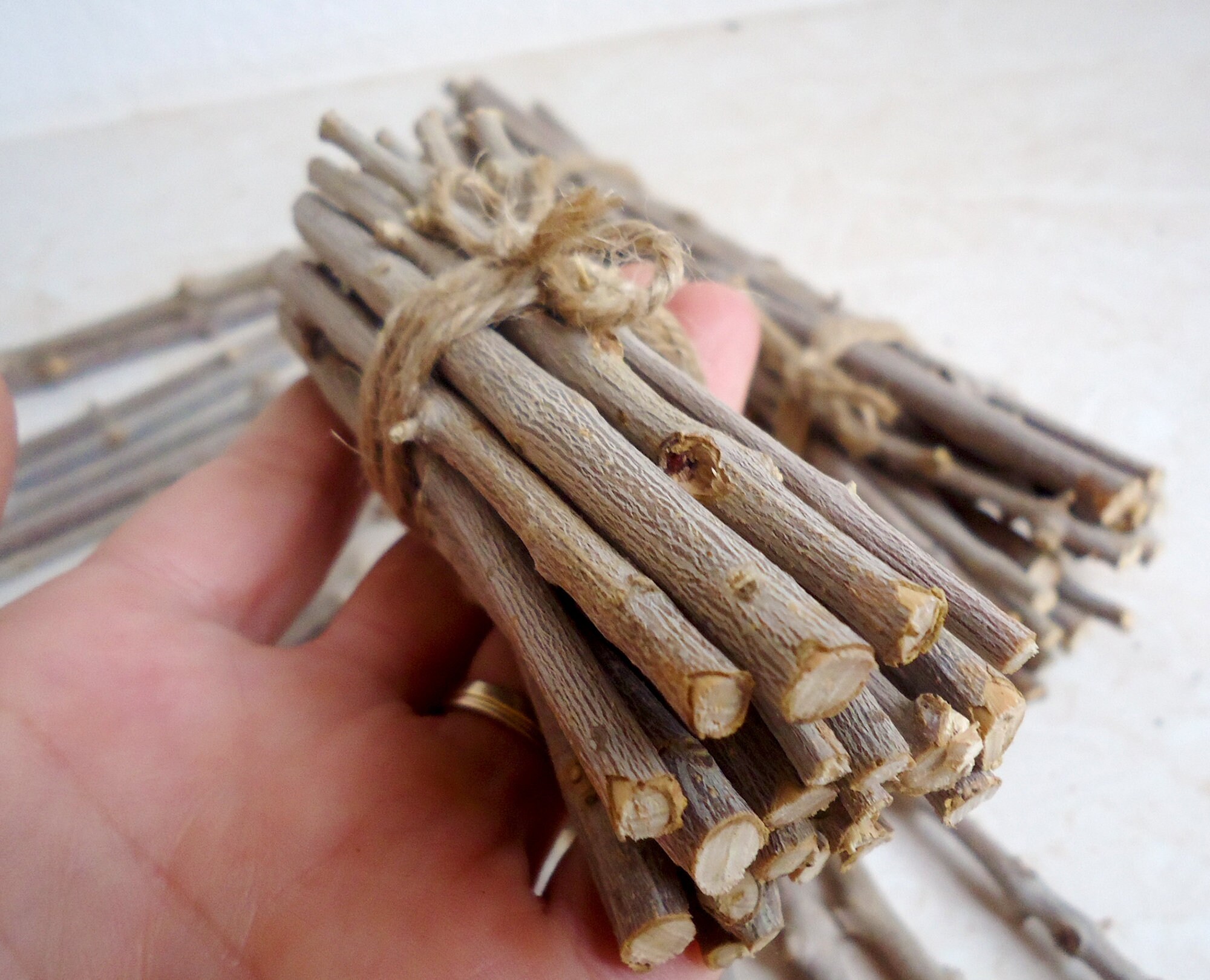 Craft Wood Sticks, 20 Pics, Choose Your Length, Olive Wood Twigs, Fairy  House Twigs, Unfinished Wood Sticks for Crafts -  Hong Kong
