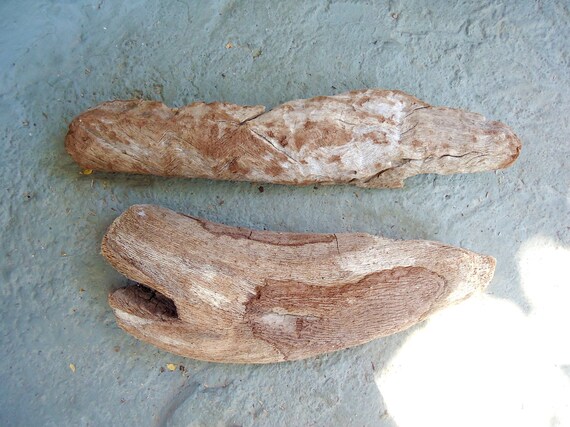 2 piezas de madera a la deriva 23-27 cm tronco de árbol | Etsy