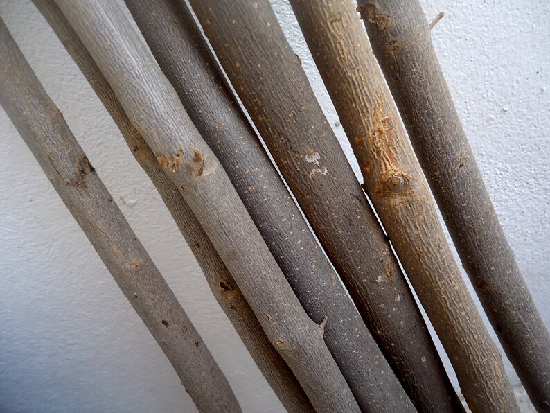 Dried Tree Branches 34 Pcs Olive Tree Branch Natural Wood Etsy UK