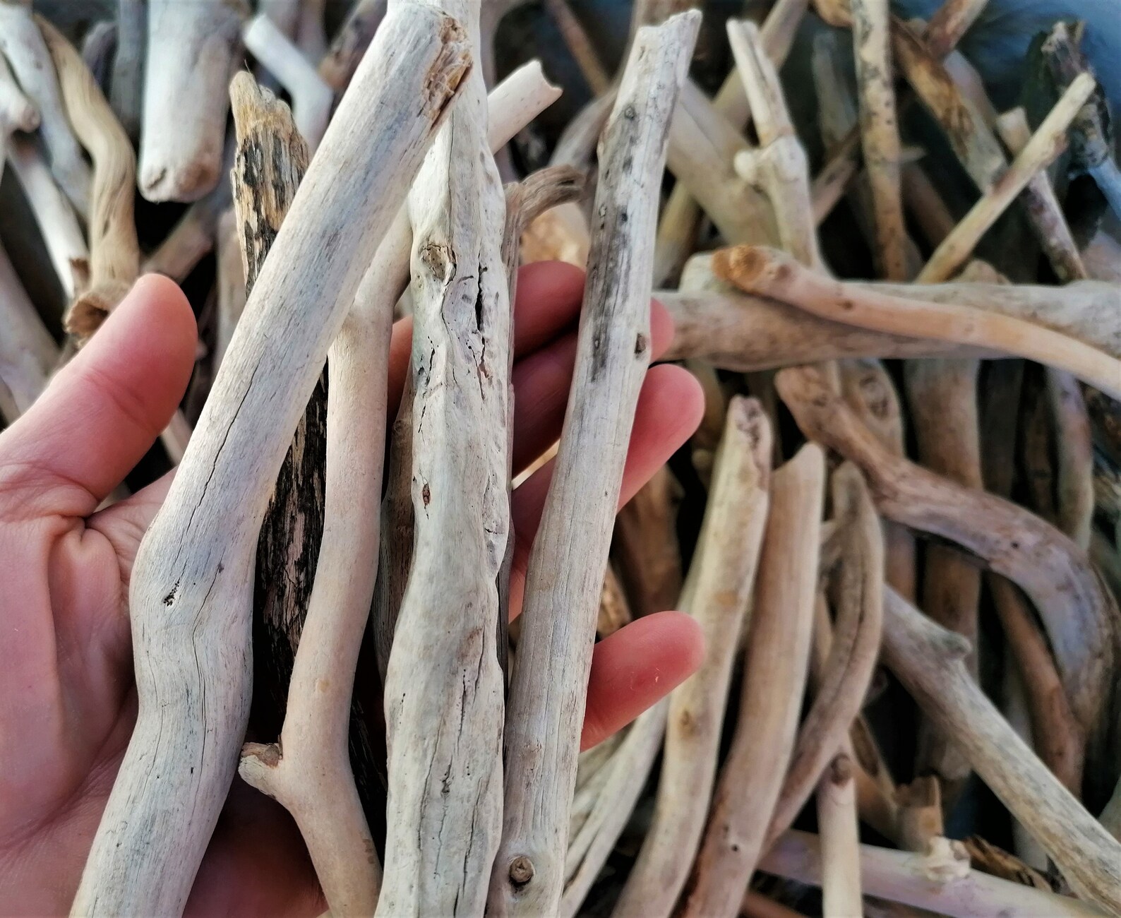 30 Driftwood Pieces for Crafts 1520 Cm Bulk Driftwood Etsy