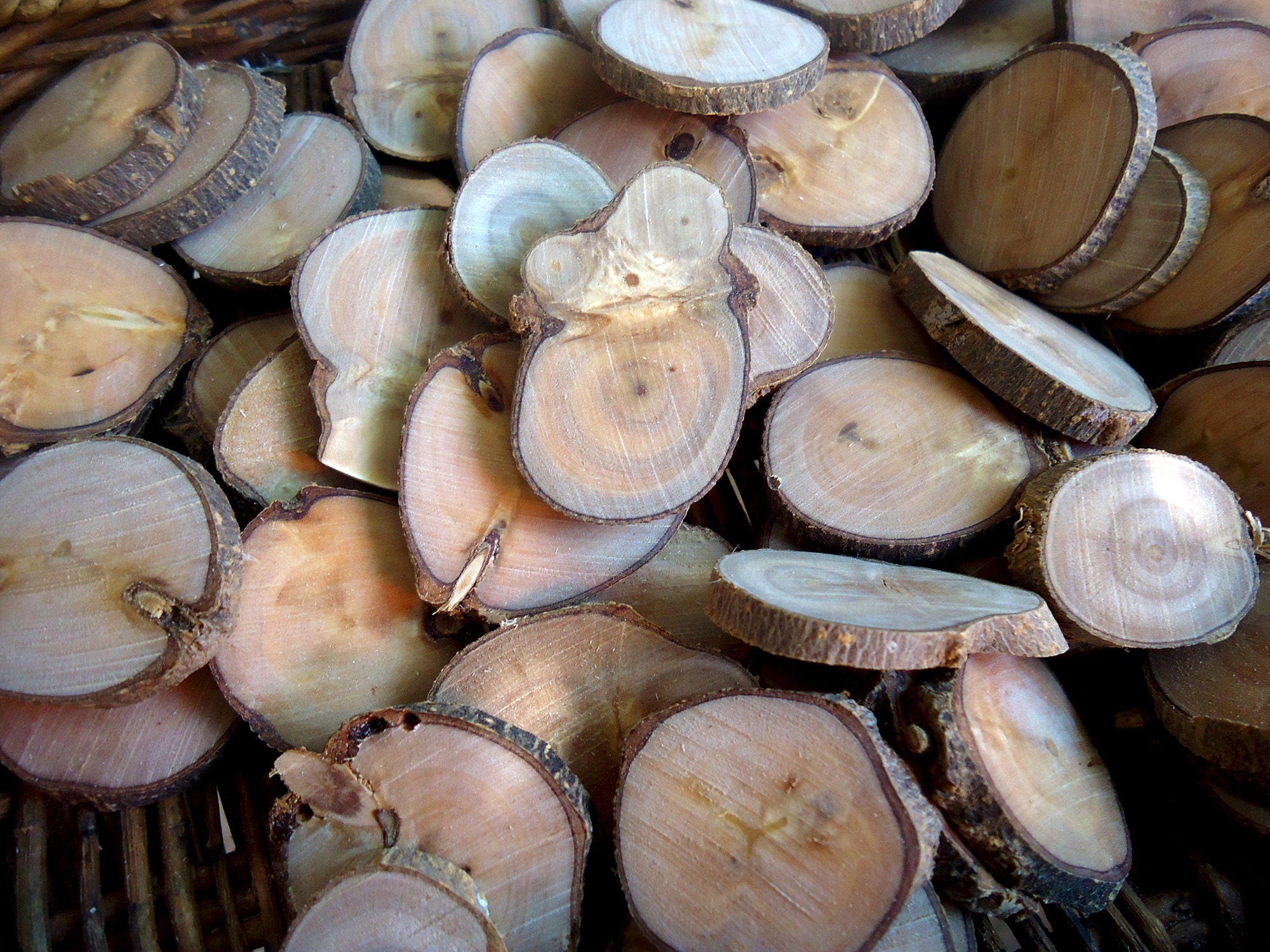 Wood Slices for Crafts Lot 10/20 Pieces Tree Branch Slices Etsy