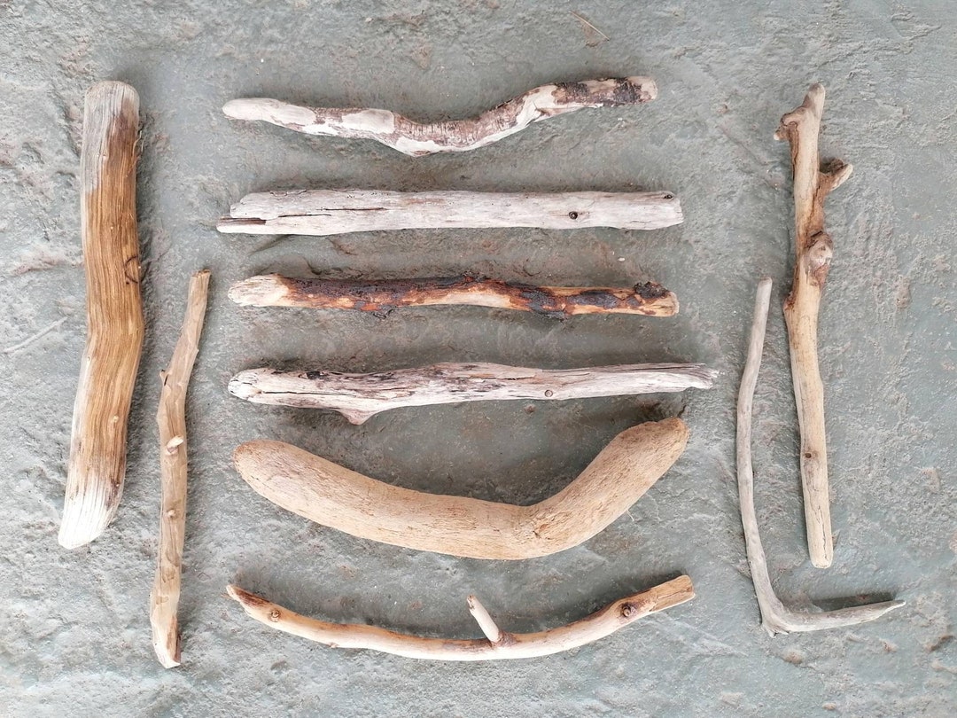 10 Driftwood Branches for Crafts, 2230 Cm, Bulk Driftwood Sticks