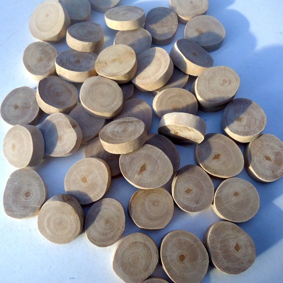 Wood Discs for Crafts 20/45 Pcs Branch Slices Bark 