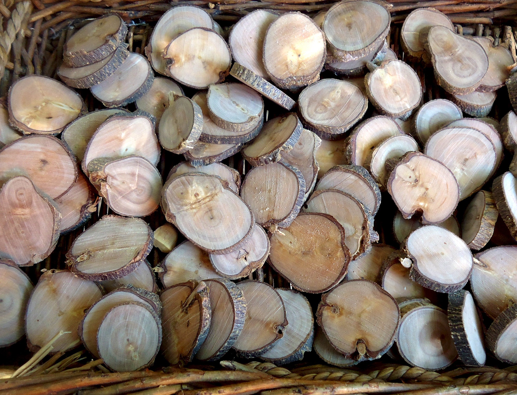 Wood Slices for Crafts Lot 10/20 Pieces Tree Branch Slices Etsy