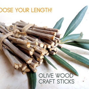 Craft wood sticks, 20+ pics, Choose your length, Olive wood twigs, Fairy house twigs, Unfinished wood sticks for crafts