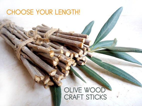 Craft Wood Sticks, 20 Pics, Choose Your Length, Olive Wood Twigs