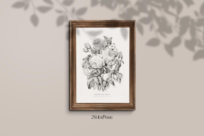 Vintage Rose Print Vintage Farmhouse Decor Vintage Flower Botanical vintage-rose-print-vintage-farmhouse-decor-vintage-flower-botanical