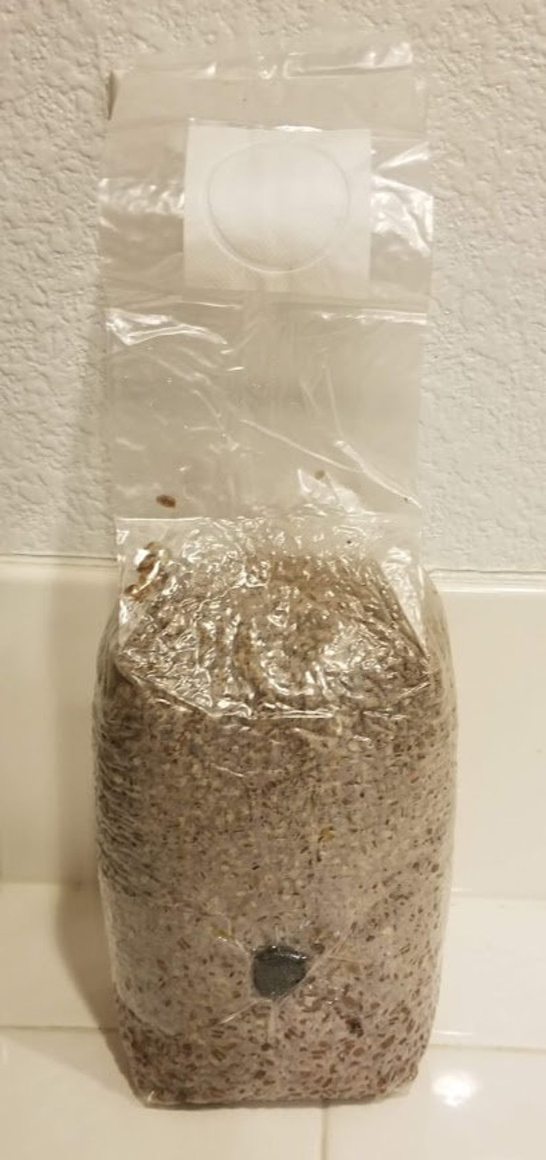 3 x 3 lbs bags of Sterilized Hydrated Rye Berries Perishable Product Please refrigerate if not used immediately