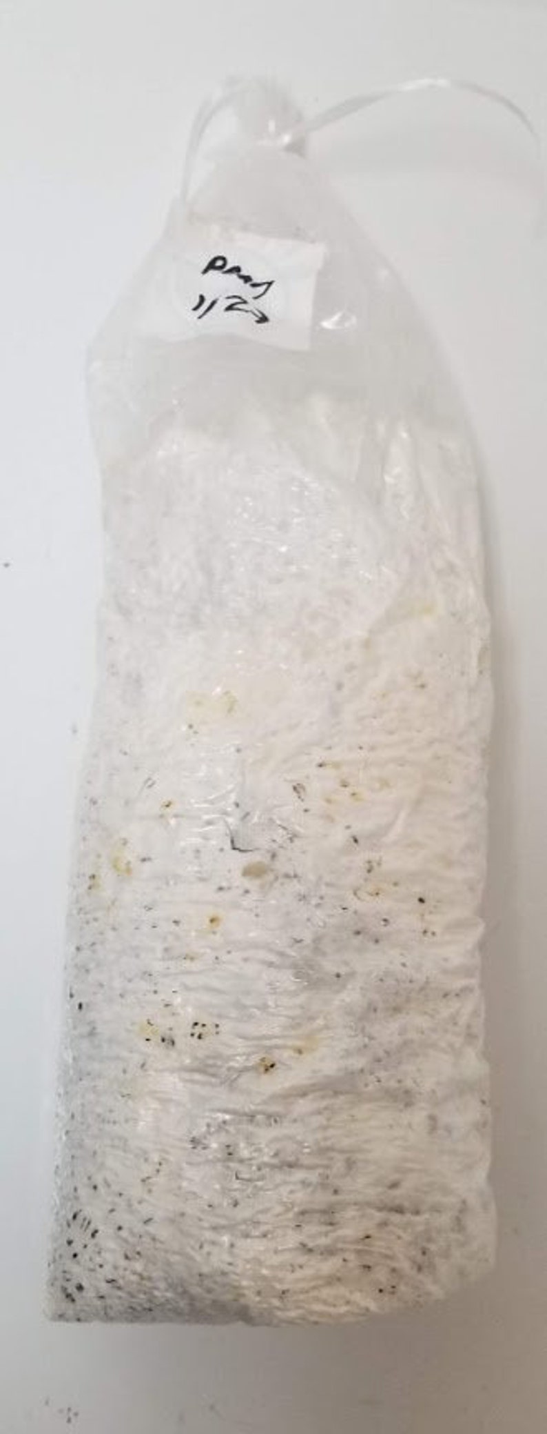 3 x 3 lbs bags of Sterilized Hydrated Rye Berries Perishable Product Please refrigerate if not used immediately
