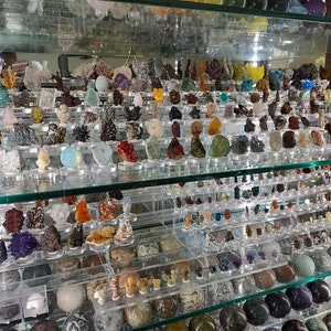 May include: A glass display case filled with a variety of colorful mineral specimens. The minerals are arranged in rows on shelves, with each specimen displayed on a small pedestal. The minerals are of various shapes, sizes, and colors, including green, blue, red, and brown.