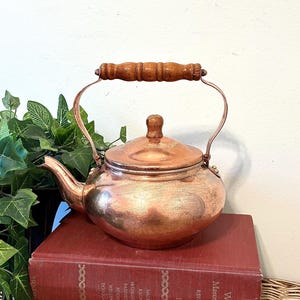May include: A copper-colored teapot with a wooden handle and lid knob sits atop two antique books. The teapot has a curved spout and a rounded body. The books are red and brown with gold lettering. Green foliage is visible on the left.