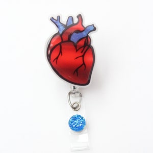 Anatomical Heart ,Cardiac Nurses Badge, Heart Badge Reel, Badge Reel, Cardiologist