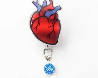 May include: A red anatomical heart badge reel with a blue glitter charm. The heart is detailed with veins and arteries.