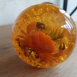 Peut inclure: Objet décoratif rond et transparent avec un crabe orange et des éléments végétaux encapsulés. Le crabe est au centre, sur un fond doré ambré. De petites particules sombres sont également visibles.
