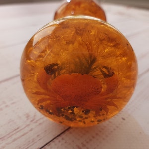 May include: Close-up of two orange resin spheres, each encasing a crab. The crab is orange with black details. The resin has a golden hue, and the spheres are on a light wood surface. The spheres are decorative.