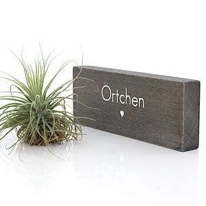 K&ouml;nnte beinhalten: Eine kleine Luftpflanze neben einem rechteckigen, grauen Holzblock. Der Block tr&auml;gt den wei&szlig;en Schriftzug "&Ouml;rtchen" mit einem kleinen Herzsymbol. Die Luftpflanze hat lange, d&uuml;nne gr&uuml;ne Bl&auml;tter.