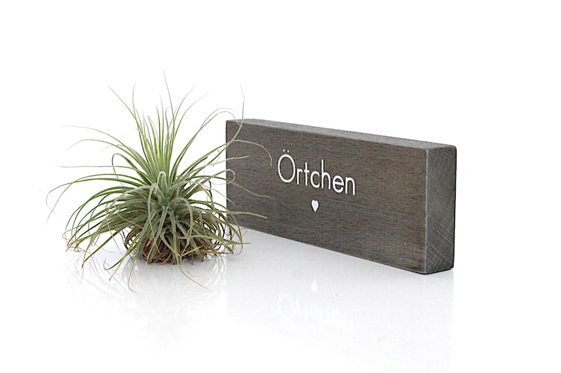 K&ouml;nnte beinhalten: Eine kleine Luftpflanze neben einem rechteckigen, grauen Holzblock. Der Block tr&auml;gt den wei&szlig;en Schriftzug "&Ouml;rtchen" mit einem kleinen Herzsymbol. Die Luftpflanze hat lange, d&uuml;nne gr&uuml;ne Bl&auml;tter.