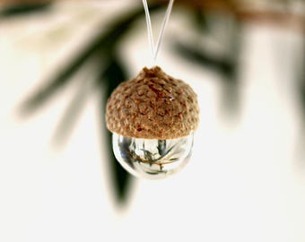 May include: A decorative acorn ornament with a textured brown cap and a clear, spherical base. The base reflects the surrounding environment, hanging from a thin white string. The background is blurred, with hints of green foliage.