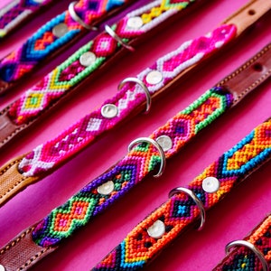 May include: A close-up of six colourful dog collars with leather straps and silver buckles. The collars are woven with bright colours and patterns, including pink, purple, orange, green, blue and yellow.