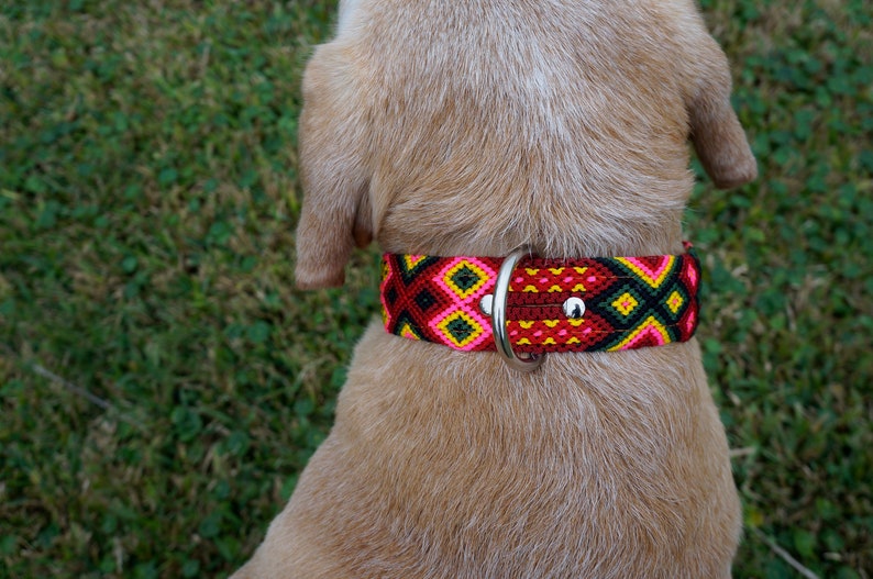 Large Dog Collar Mexican Dog Collar Fiesta Collar Woven Nylon Leather Dog Collar image 2