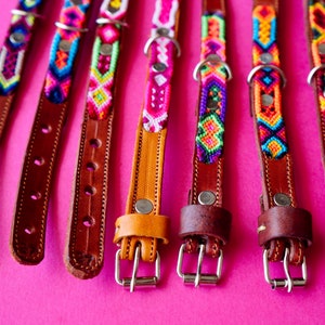 May include: Seven colourful dog collars with leather straps and metal buckles. The collars feature a variety of woven patterns in pink, blue, green, yellow, orange, and purple.