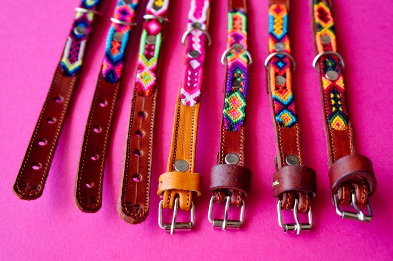 May include: Seven colourful dog collars with leather straps and metal buckles. The collars feature a variety of woven patterns in pink, blue, green, yellow, orange, and purple.
