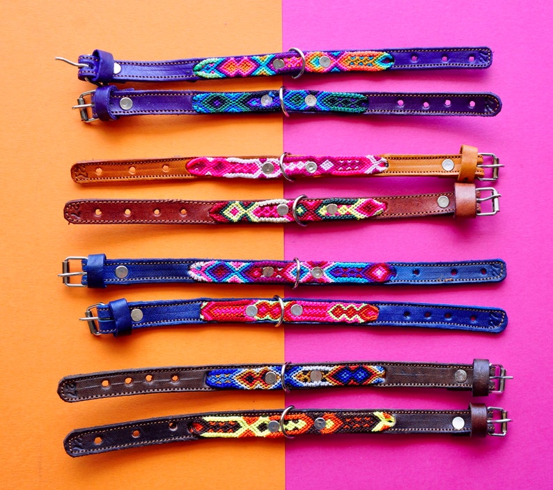 May include: Eight colourful dog collars with leather straps and woven patterns. The collars are arranged in two rows of four, with the top row on a light orange background and the bottom row on a pink background.