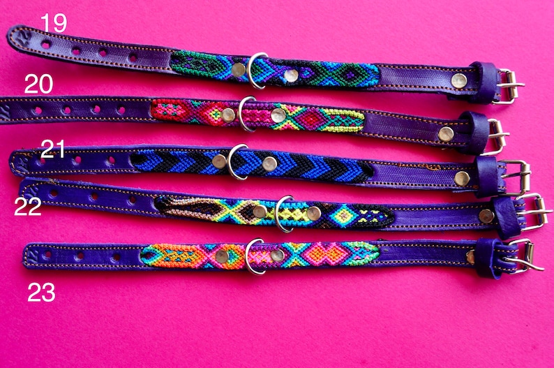 May include: Five purple leather dog collars with colourful woven straps and silver metal buckles. The collars are numbered 19 through 23.