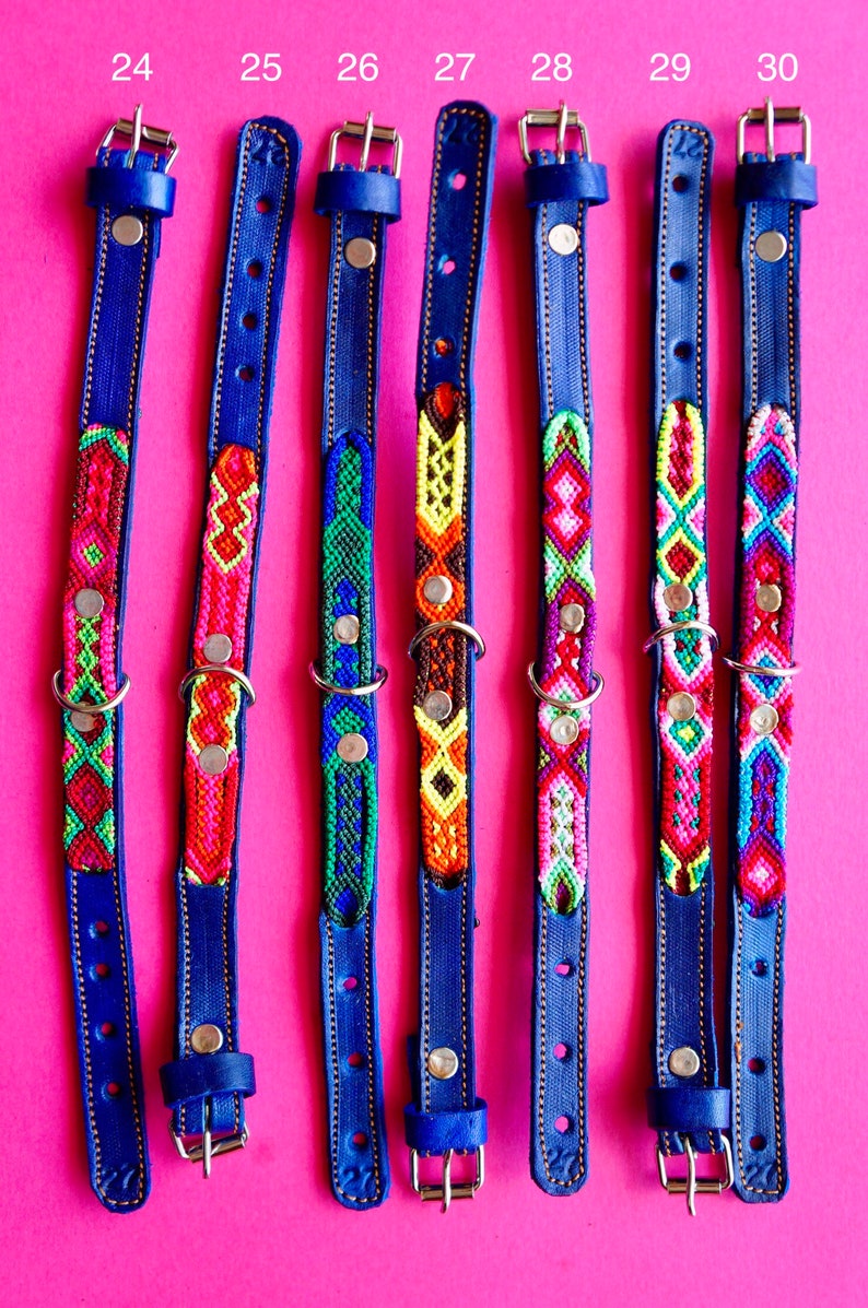 May include: Six blue leather dog collars with colourful woven patterns. The collars are numbered 24 through 30.