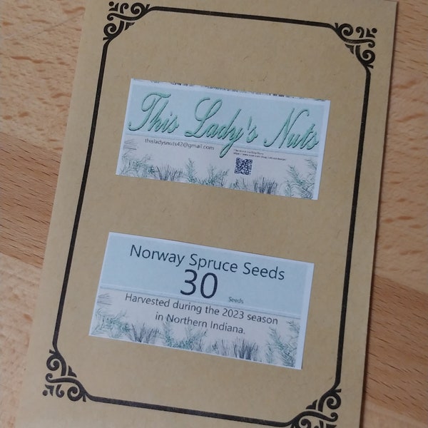 30 Norway Spruce Seeds