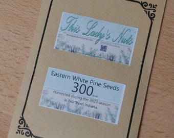 300 Eastern White Pine Seeds