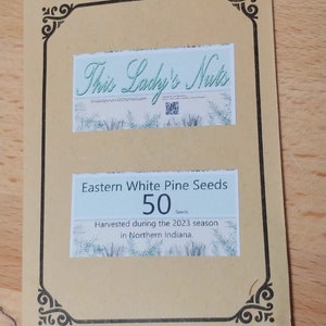 50 Eastern White Pine Seeds