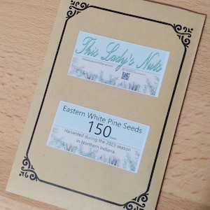 150 Eastern White Pine Seeds