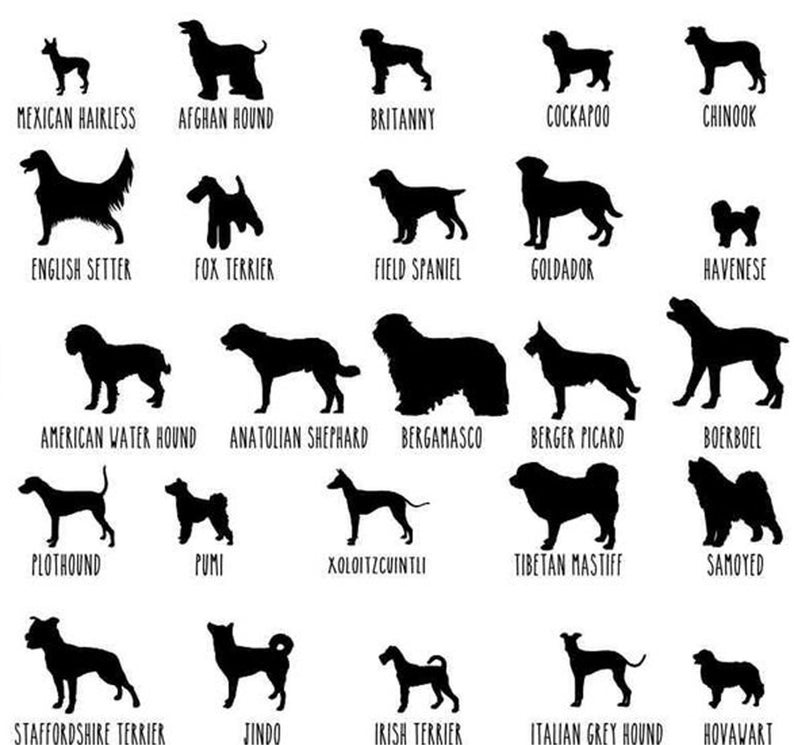 Custom Dog Breed Decal / Dog Breed Stickers / Dog Name Decal / Etsy