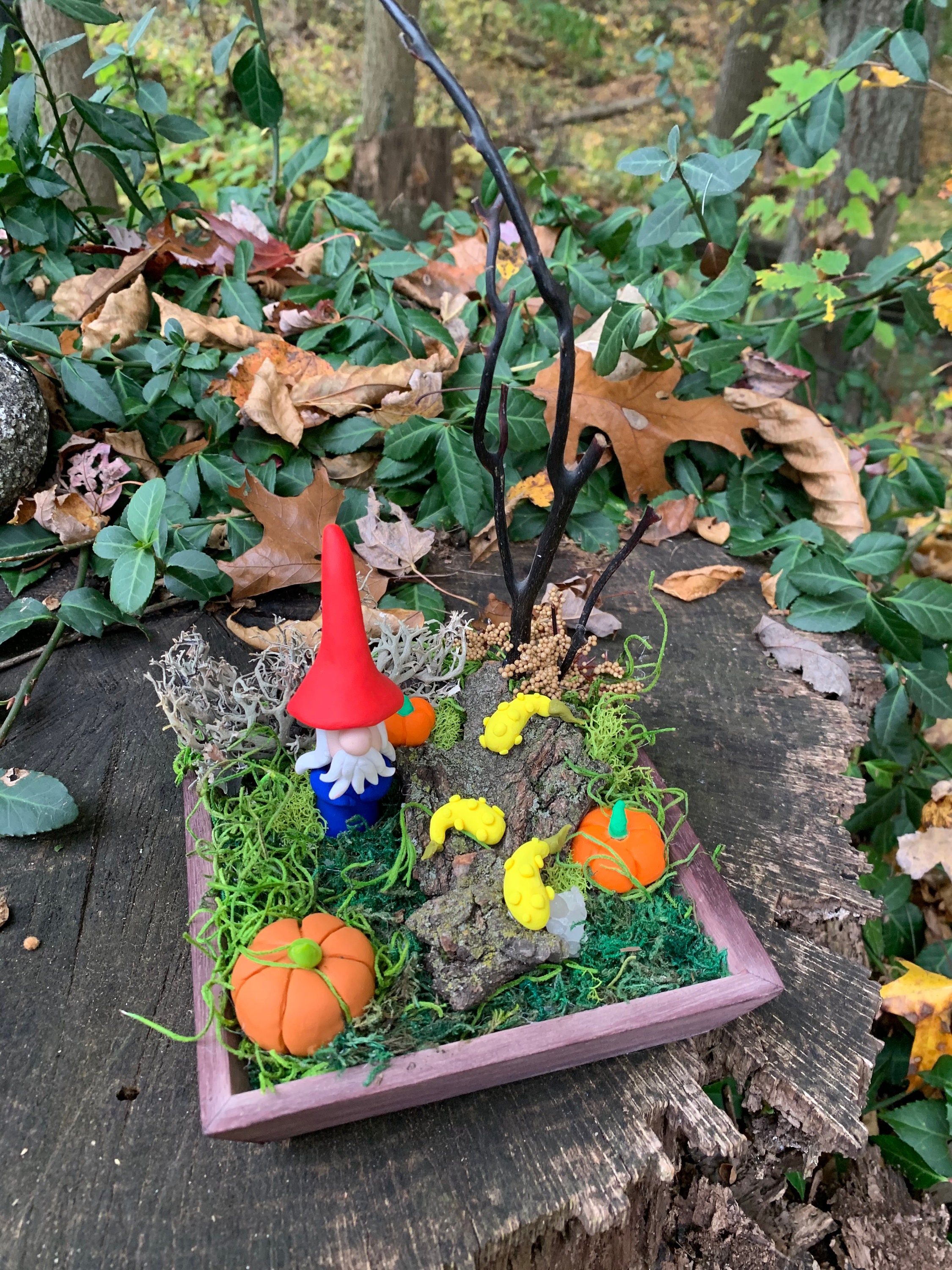 gord pumpkin