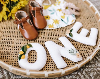 One High Chair Banner, Cake Smash Banner, Felt Name Garland