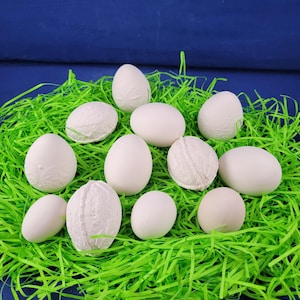 May include: A collection of white ceramic eggs, some with a textured surface, are nestled in a bed of green shredded paper.