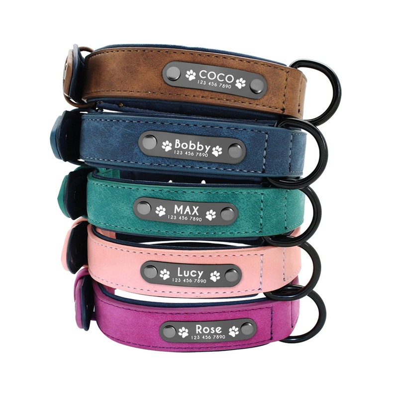 custom engraved dog collars