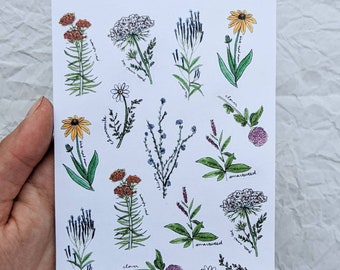 Wildflowers Sticker Sheet for Snail Mail 4x6 Floral Journaling Planners