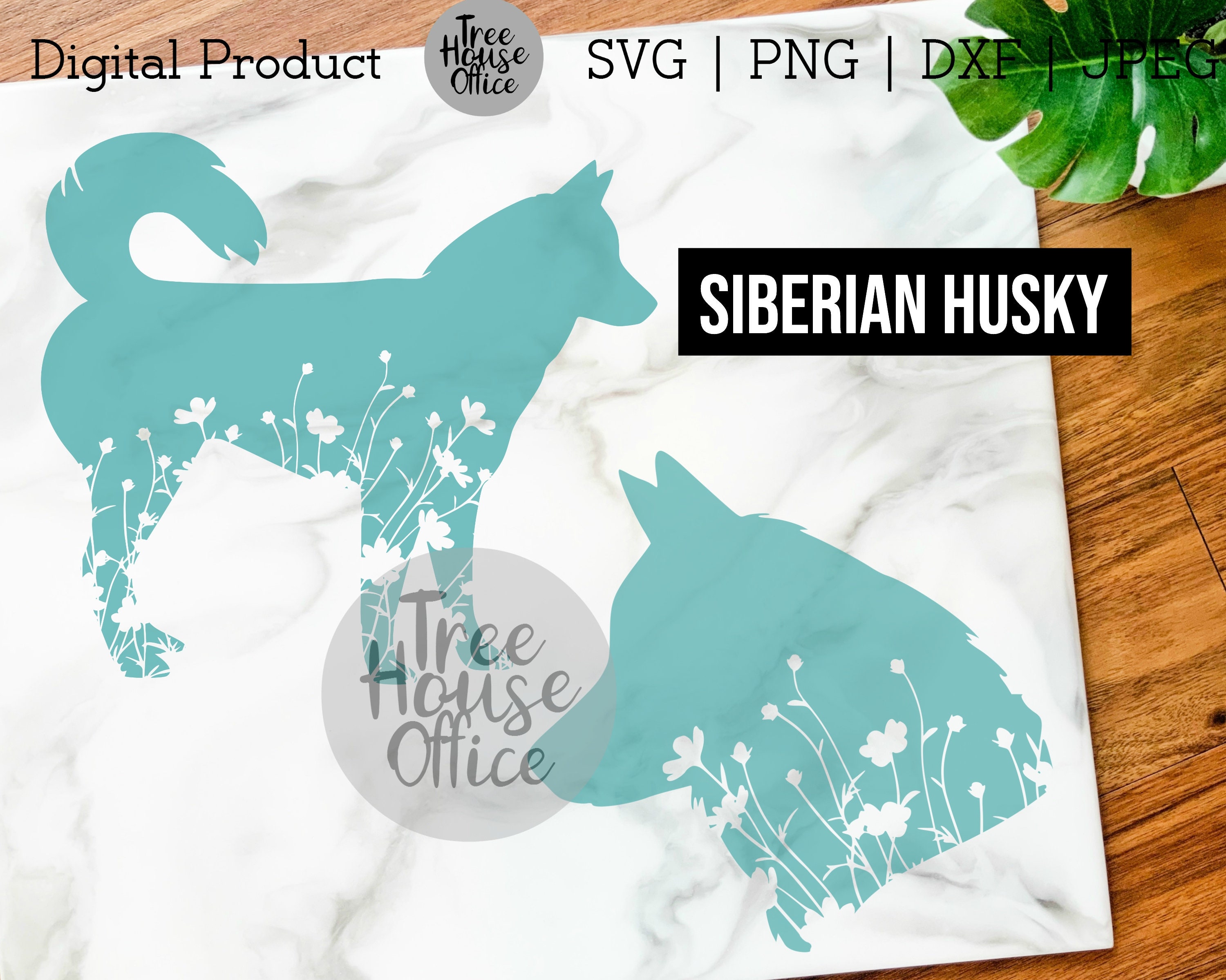 Download Siberian Husky Svg Dxf Png Jpeg Floral Husky Mandala Etsy
