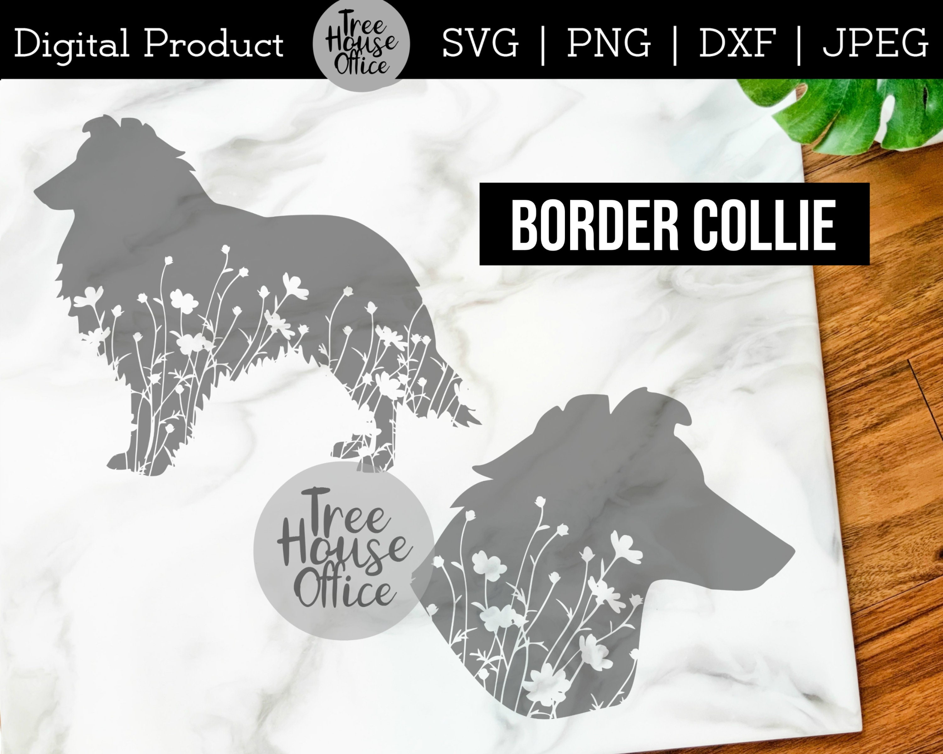 Download Border Collie Svg Dxf Png Jpeg Floral Border Collie Mandala Etsy