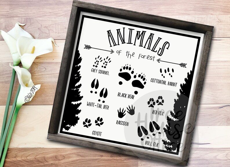 PRINTABLE Animals of the Forest PDF/PNG Woodland Nursery - Etsy