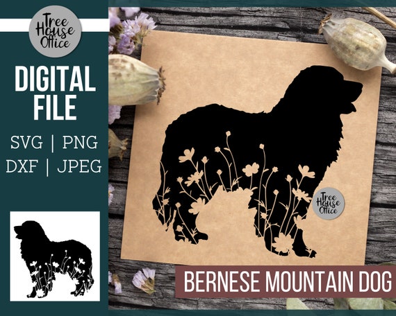 Indian hill bernese mountain dogs sales