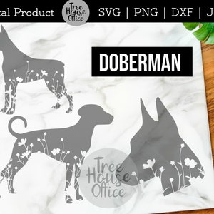 Doberman SVG, DXF PNG jpeg, Floral Doberman Pinscher Mandala Zentangle svg, Dog Silhouette svg, Dobie svg, Doberman con Flores Mendela jpg