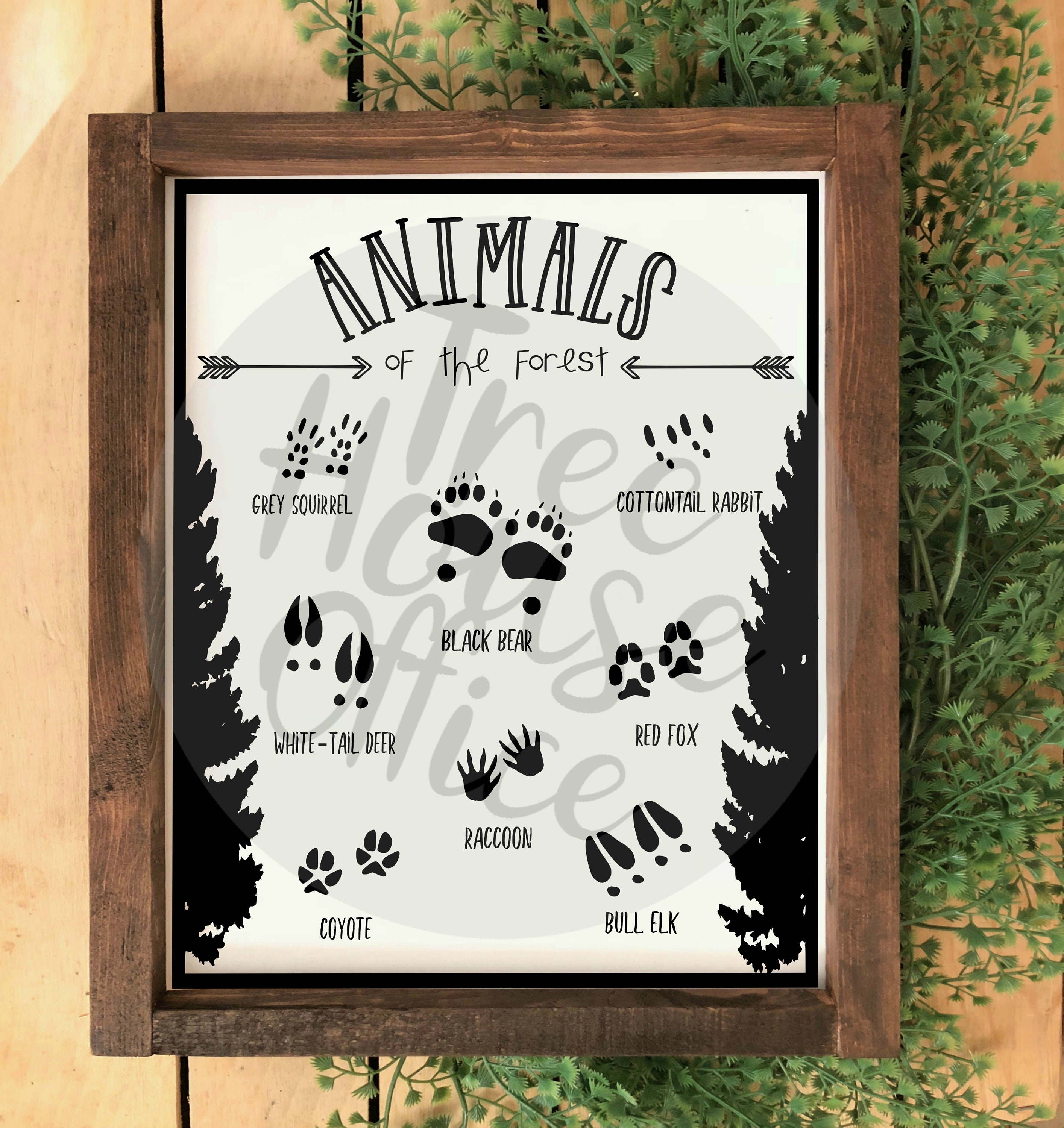 PRINTABLE Animals of the Forest PDF/PNG Woodland Nursery Etsy PRINTABLE Animals of the Forest PDF/PNG Woodland Nursery Etsy