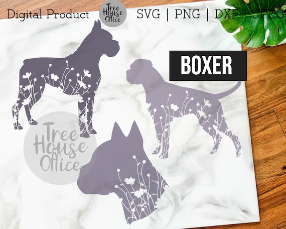 Download Boxer Svg Dxf Png Jpeg Floral German Boxer Mandala Zentangle Etsy