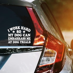 May include: White vinyl car decal with the text: "I WORK HARD SO MY DOG CAN EMBARRASS ME AT DOG TRIALS" on the rear window of a silver car. The car is parked on a road with sunlight in the background.